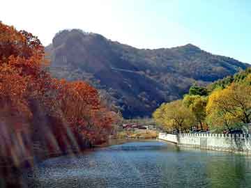 新澳天天开奖资料大全旅游团，亮碧思传销